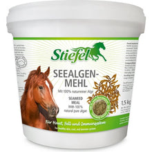 Stiefel Seealgenmehl, 1.5 kg