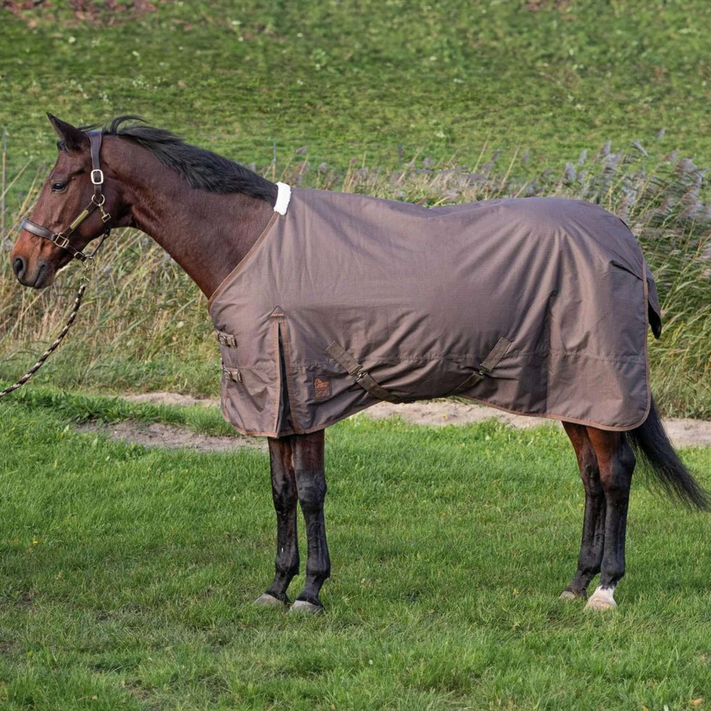 Dim Gray Harry’s Horse Outdoordecke Thor 200g