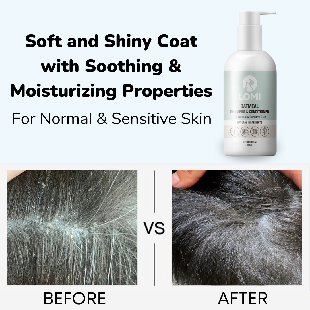 Lomi Pets Oatmeal Hunde Shampoo & Spülung