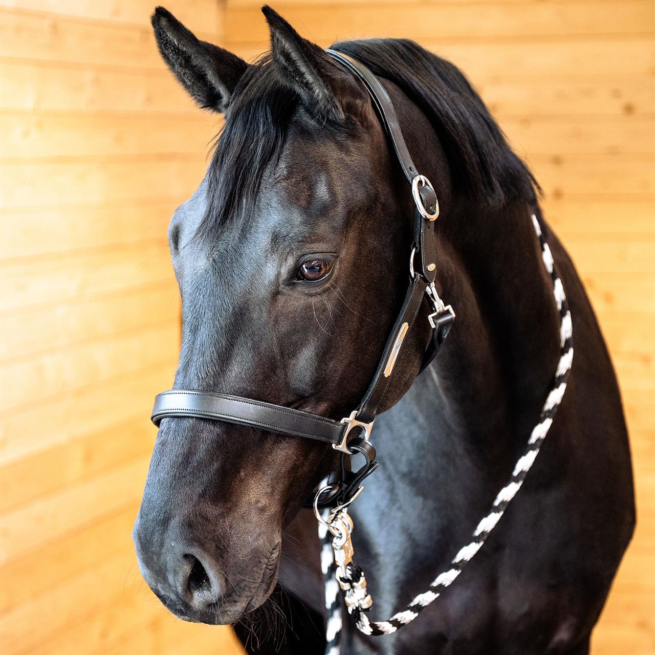 Light Goldenrod EQUEST® Lederhalfter Inscribe