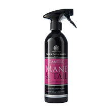 CARR & DAY & MARTIN Mähnen- und Schweifspray Canter®