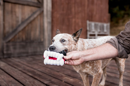 P.L.A.Y. Heulende Spukorte Barkys Biss
