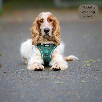 PawStory - Trail Buddy Harnass - Kleiner Abenteurer