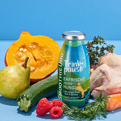 Hundesmoothie Trinkpause Ente