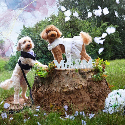 Croci Hundehalsband „Ceremony“ - Bride