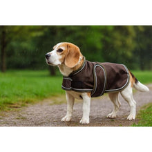 EQuest Hundemantel Ontario | robust & wetterfest