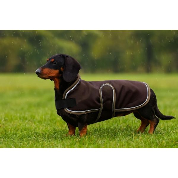 EQuest Hundemantel Ontario | robust & wetterfest