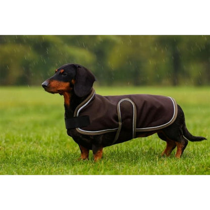 EQuest Hundemantel Ontario | robust & wetterfest