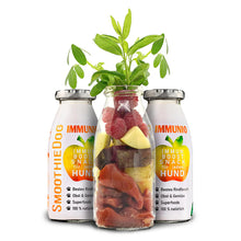 Hundesmoothie Immunio Rind
