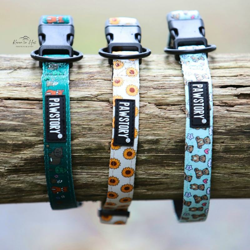PawStory Trail Buddy Halsband - Bear Hugs