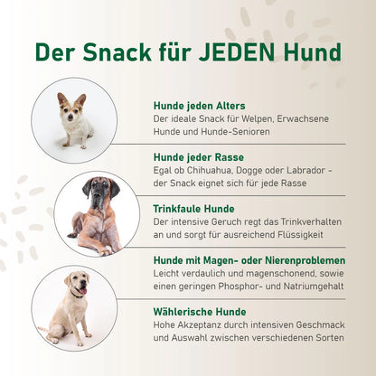Hundesmoothie Trinkpause Ente