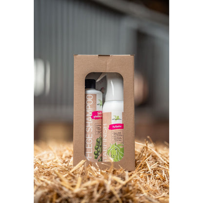 Dim Gray Bense & Eicke Geschenkset StarFinish parfümfrei + Pflege Shampoo