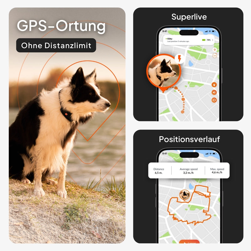 Weenect XT - GPS Tracker für Hunde - Kaster Cheval