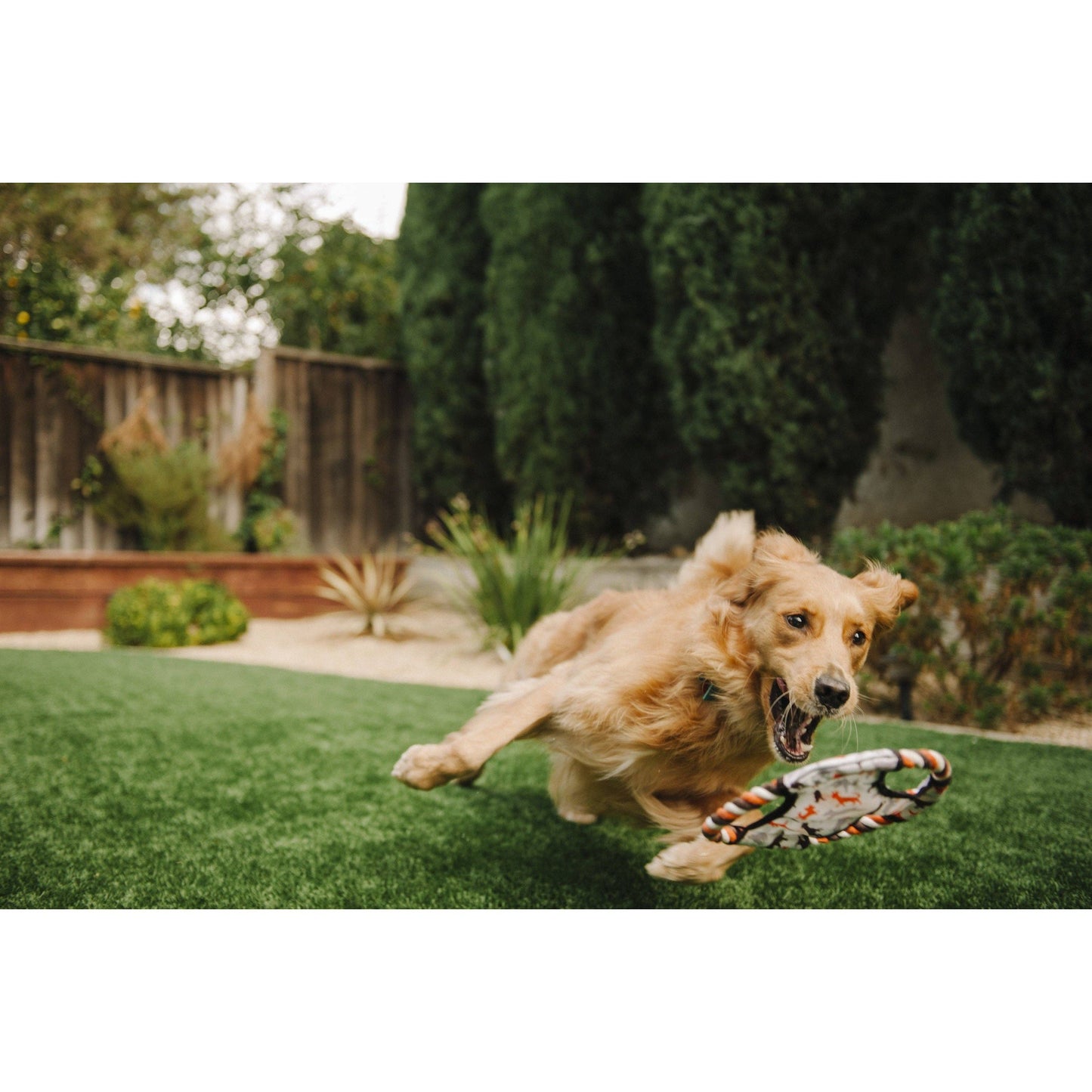 P.L.A.Y Flying Disc Toy
