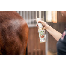 Fliegenspray Horsti's #Ausreitwunder