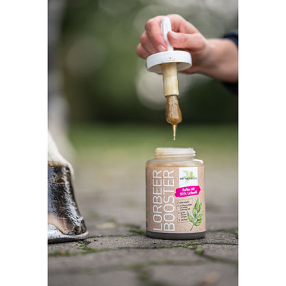 Dim Gray Bense & Eicke Lorbeer Booster 450 ml