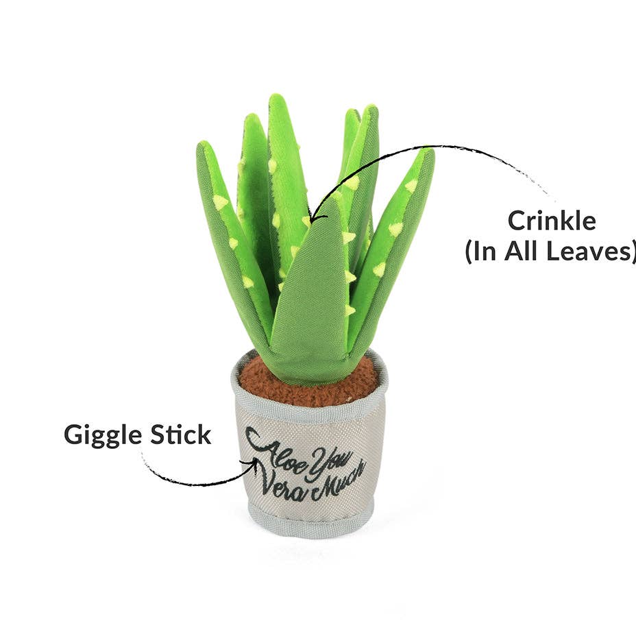 P.L.A.Y Blühende Kumpel Aloe-Ve You Pflanze