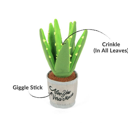 P.L.A.Y Blühende Kumpel Aloe-Ve You Pflanze