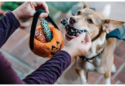 P.L.A.Y. Howl-O-Ween Leckerli-Korb
