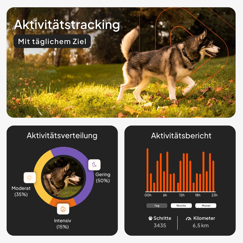 Weenect XT - GPS Tracker für Hunde - Kaster Cheval