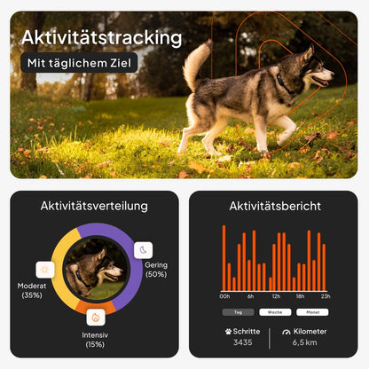 Weenect XT - GPS Tracker für Hunde - Kaster Cheval