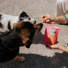 VEGDOG POPS 20 g
