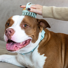 Lomi Pets Bamboo Massage Brush