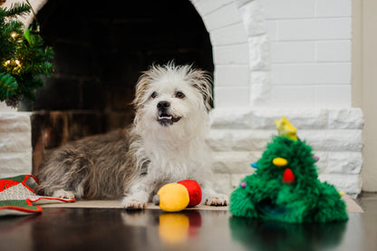 P.L.A.Y. Fröhliche Woofnachten Doglas Fur