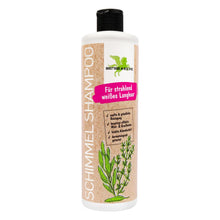 Wheat Bense & Eicke Schimmel Shampoo