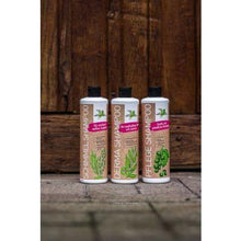 Bense & Eicke Derma Shampoo