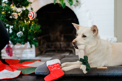 P.L.A.Y. Fröhliche Woofmas Gute Hundestrumpf