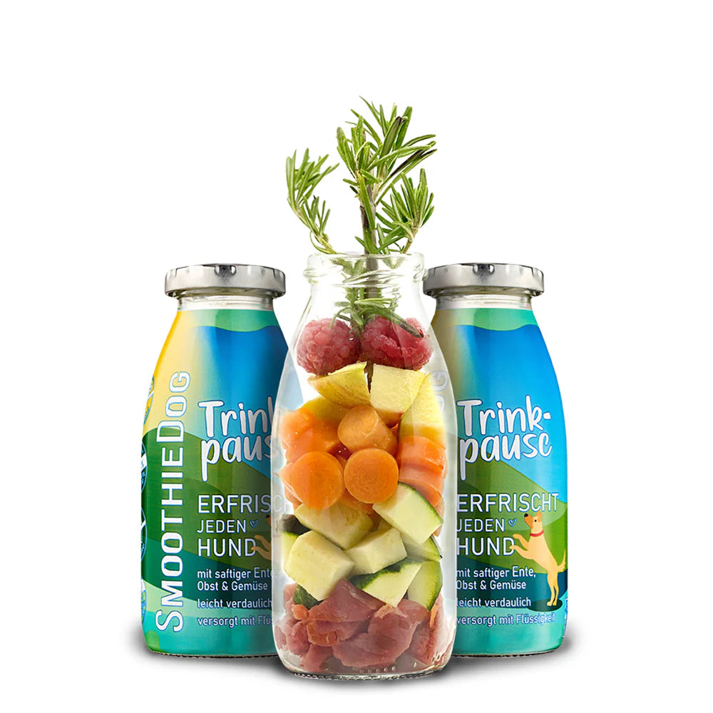 Hundesmoothie Trinkpause Ente