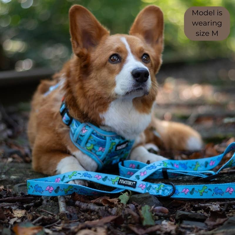 PawStory - Trail Buddy Harnass - Funky Dino