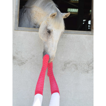Gray Equithème Socken Resille