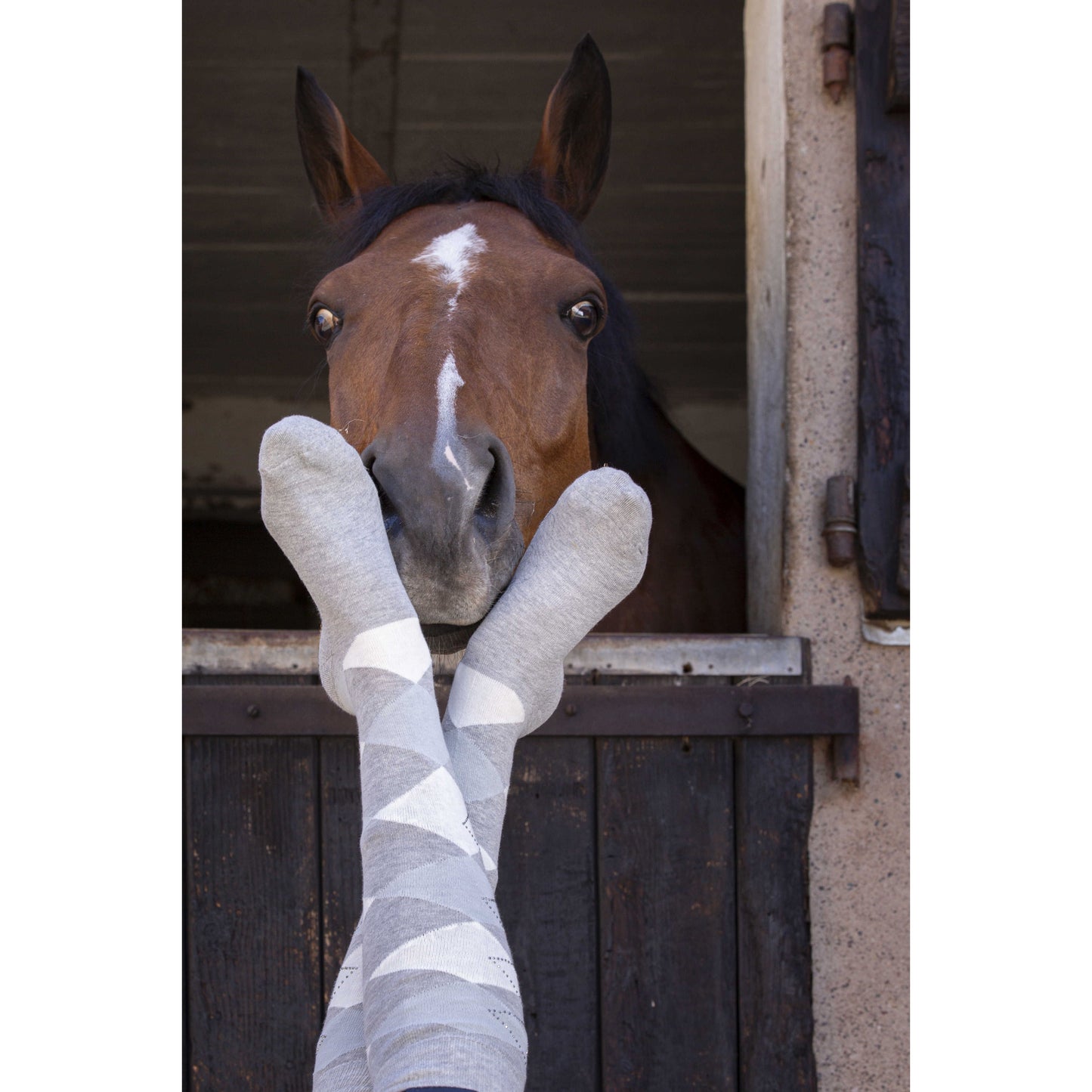 EQUITHÈME - Girly - Socken
