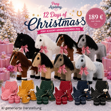 🎄 12 Days of Christmas – Pony Academy Adventskalender 2026