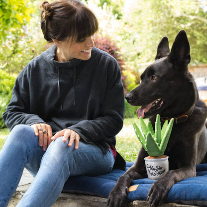 P.L.A.Y Blühende Kumpel Aloe-Ve You Pflanze
