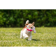 Croci Hundespielzeug Plüsch Party Bone