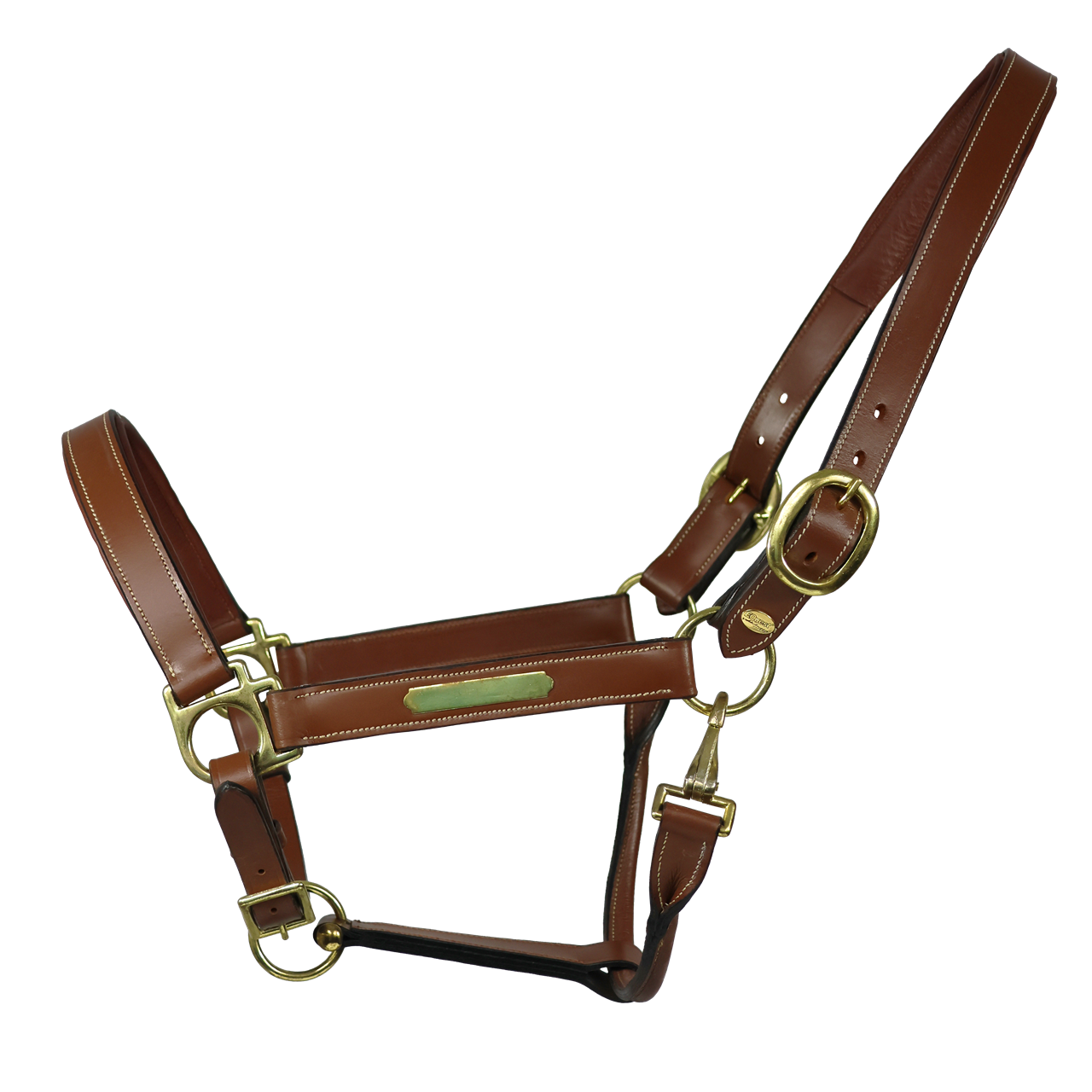 Dark Olive Green EQUEST® Lederhalfter Inscribe