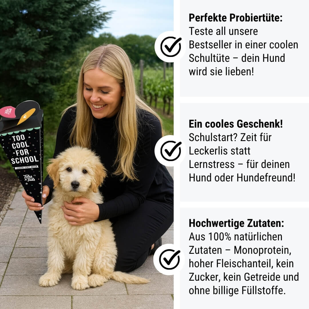 Tales & Tails Hundeschultüte