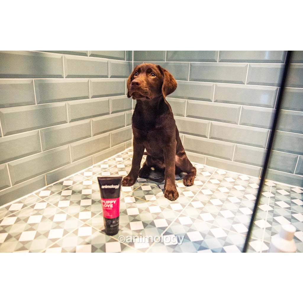 Animology Puppy Love Puppy Shampoo 250 ml - Kaster Cheval