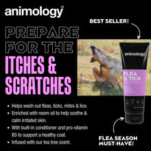 Animology Flea & Tick Dog Shampoo 250 ml