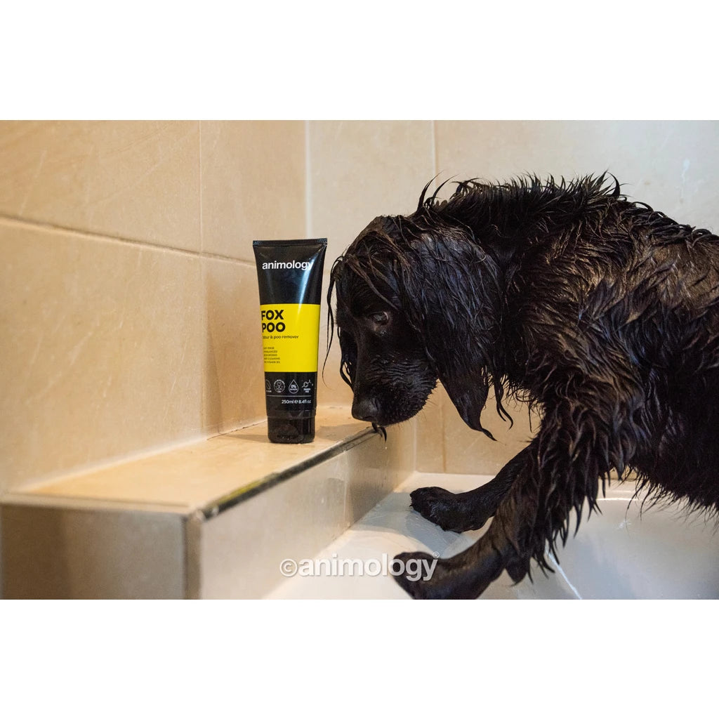 Animology Fox Poo Dog Shampoo 250 ml