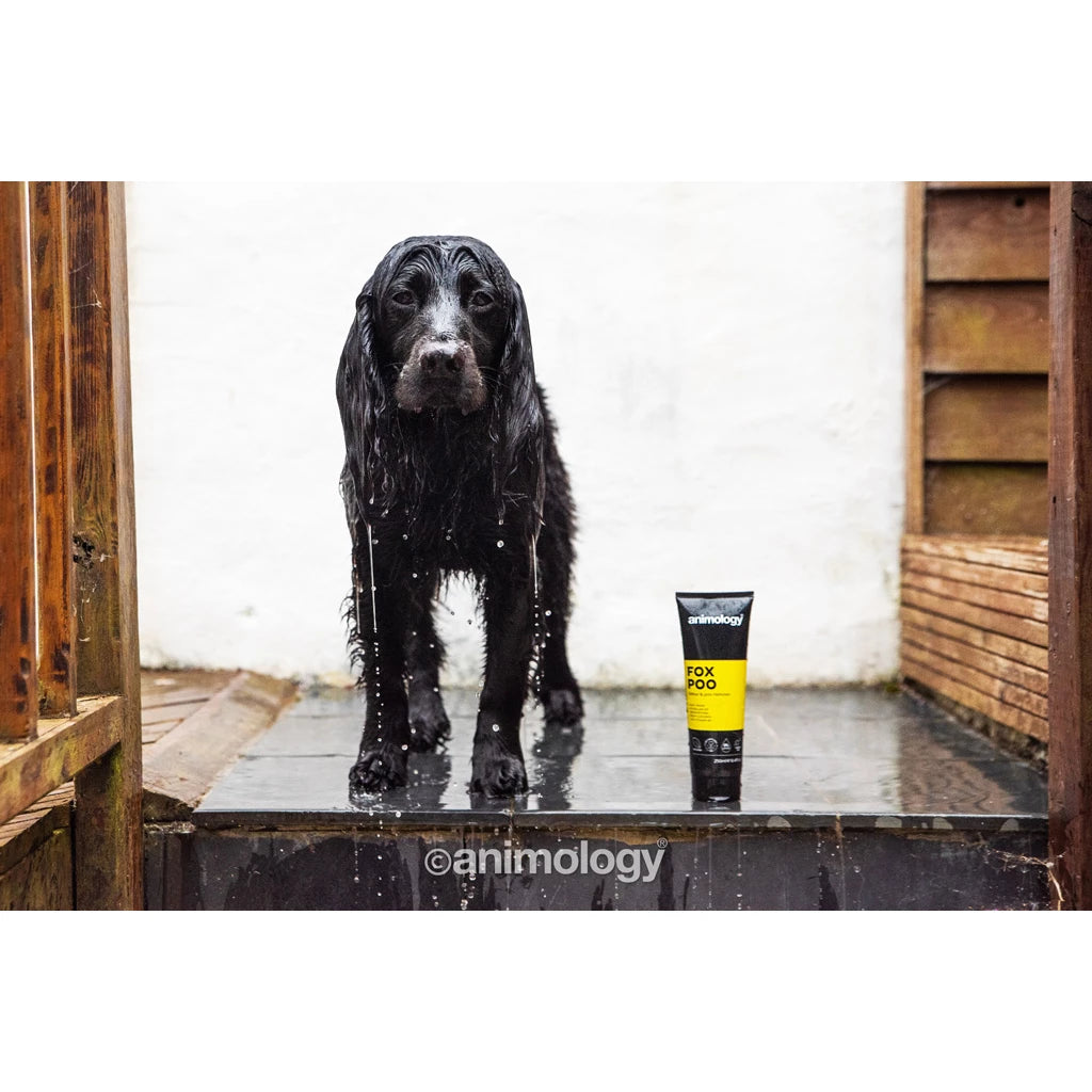 Animology Fox Poo Dog Shampoo 250 ml