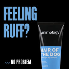Animology  Hair Of The Dog Anti-Tangle Dog Shampoo 250 ml - Kaster Cheval