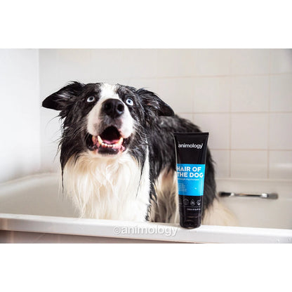 Animology  Hair Of The Dog Anti-Tangle Dog Shampoo 250 ml - Kaster Cheval