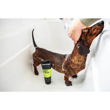 Animology Top Dog Conditioner 250 ml - Kaster Cheval