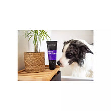 Animology True Colours Hundeshampoo