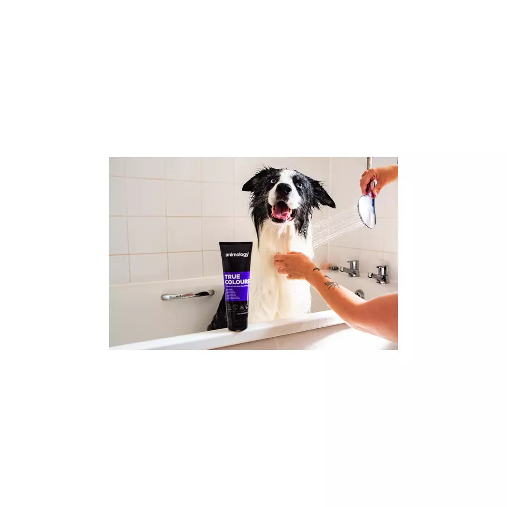 Animology True Colours Hundeshampoo