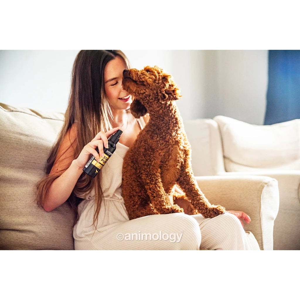 Animology Star Pups Body Mist 150 ml - Kaster Cheval